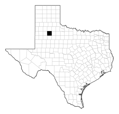 Crosby County in Texas