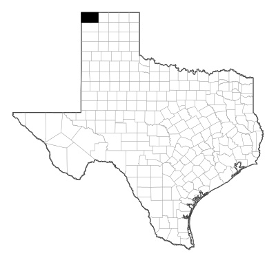 Dallam County in Texas