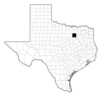 Dallas County in Texas