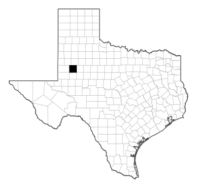 Dawson County in Texas