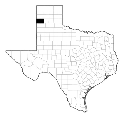 Deaf Smith County in Texas
