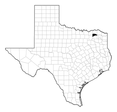 Delta County in Texas