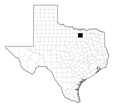 Denton County in Texas