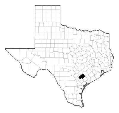DeWitt County in Texas