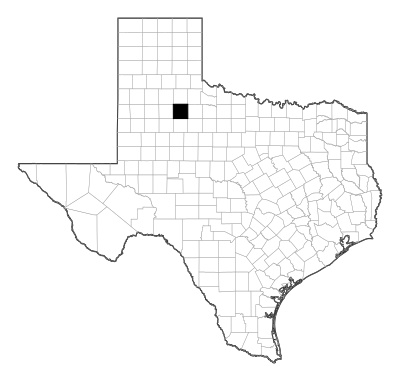 Dickens County in Texas