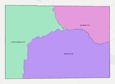 Dimmit County TX townships and subdivisions map