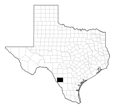 Dimmit County in Texas