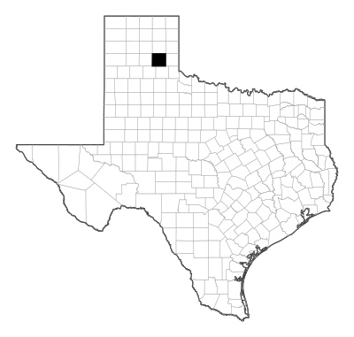 Donley County in Texas