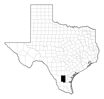 Duval County in Texas