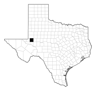Ector County in Texas