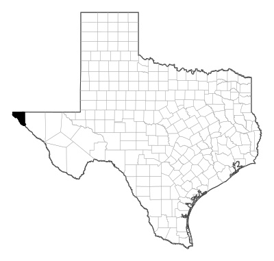 El Paso County in Texas