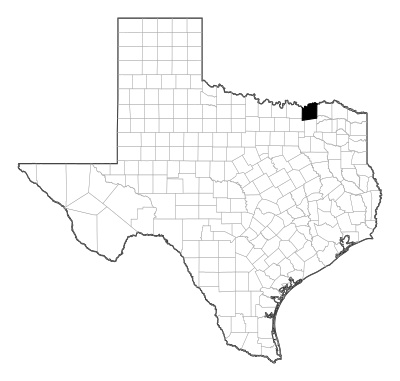 Fannin County in Texas