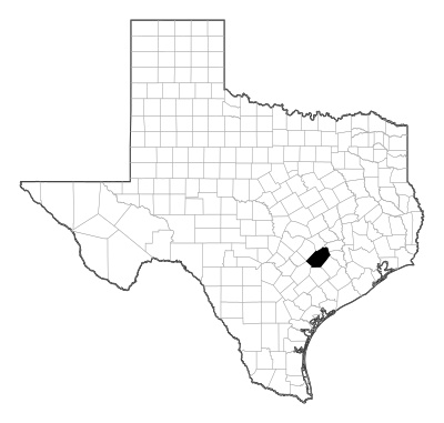 Fayette County in Texas