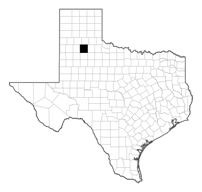 Floyd County in Texas