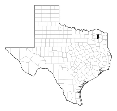 Franklin County in Texas