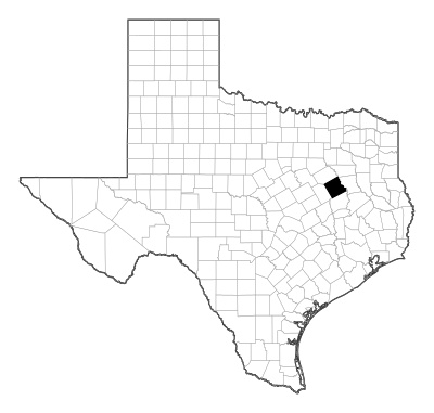 Freestone County in Texas