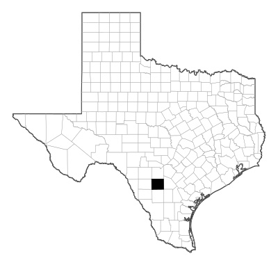 Frio County in Texas