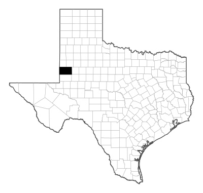 Gaines County in Texas