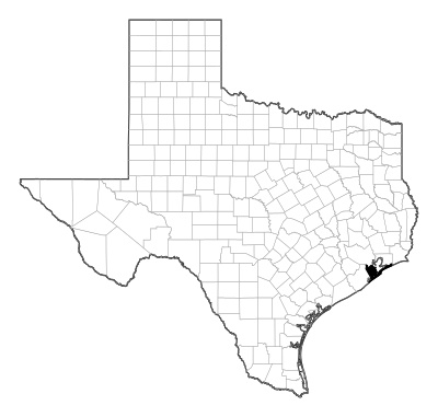 Galveston County in Texas