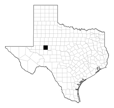 Glasscock County in Texas