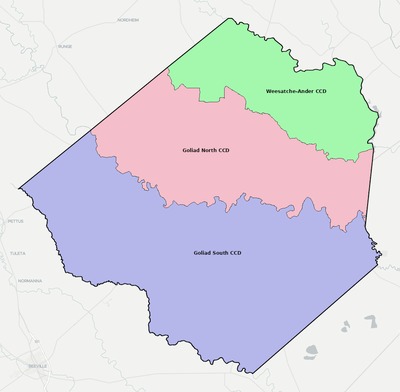 Goliad County TX townships and subdivisions map