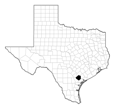 Goliad County in Texas