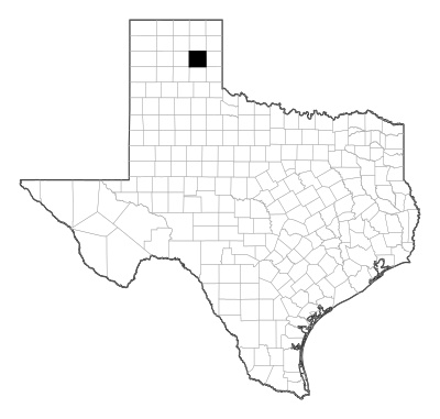 Gray County in Texas