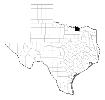 Grayson County in Texas