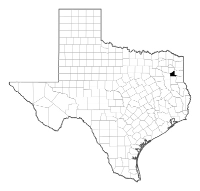 Gregg County in Texas