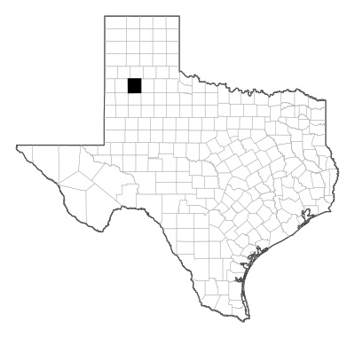 Hale County in Texas