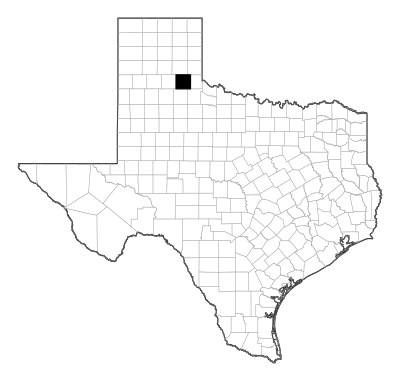 Hall County in Texas