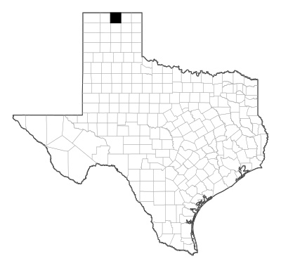 Hansford County in Texas
