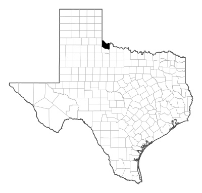 Hardeman County in Texas