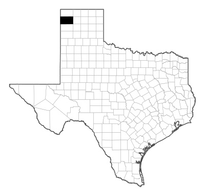 Hartley County in Texas