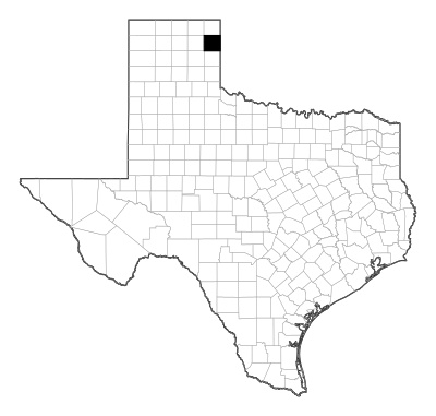 Hemphill County in Texas