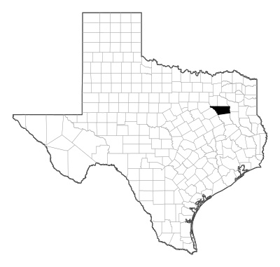 Henderson County in Texas