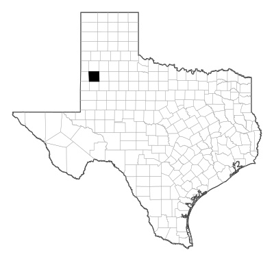 Hockley County in Texas