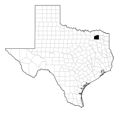 Hopkins County in Texas
