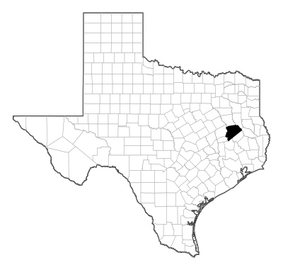 Houston County in Texas