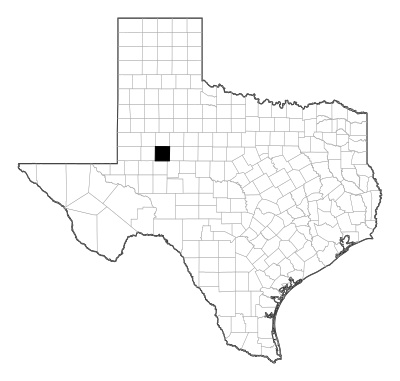 Howard County in Texas