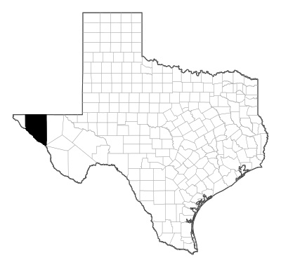 Hudspeth County in Texas