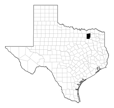 Hunt County in Texas