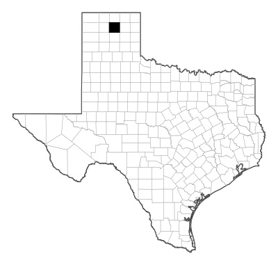 Hutchinson County in Texas