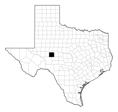 Irion County in Texas