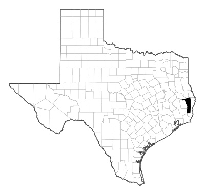 Jasper County in Texas