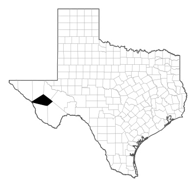 Jeff Davis County in Texas
