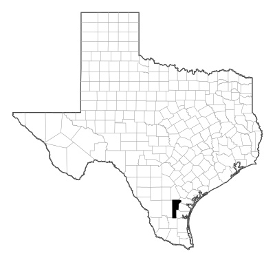 Jim Wells County in Texas