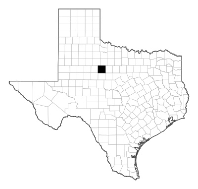 Jones County in Texas