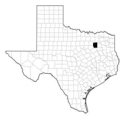 Kaufman County in Texas