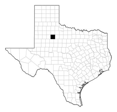 Kent County in Texas